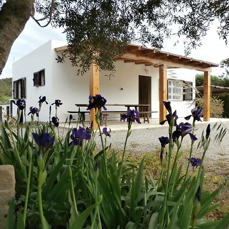 Sa Vinya Casa De Campo إس كوبيلس المظهر الخارجي الصورة