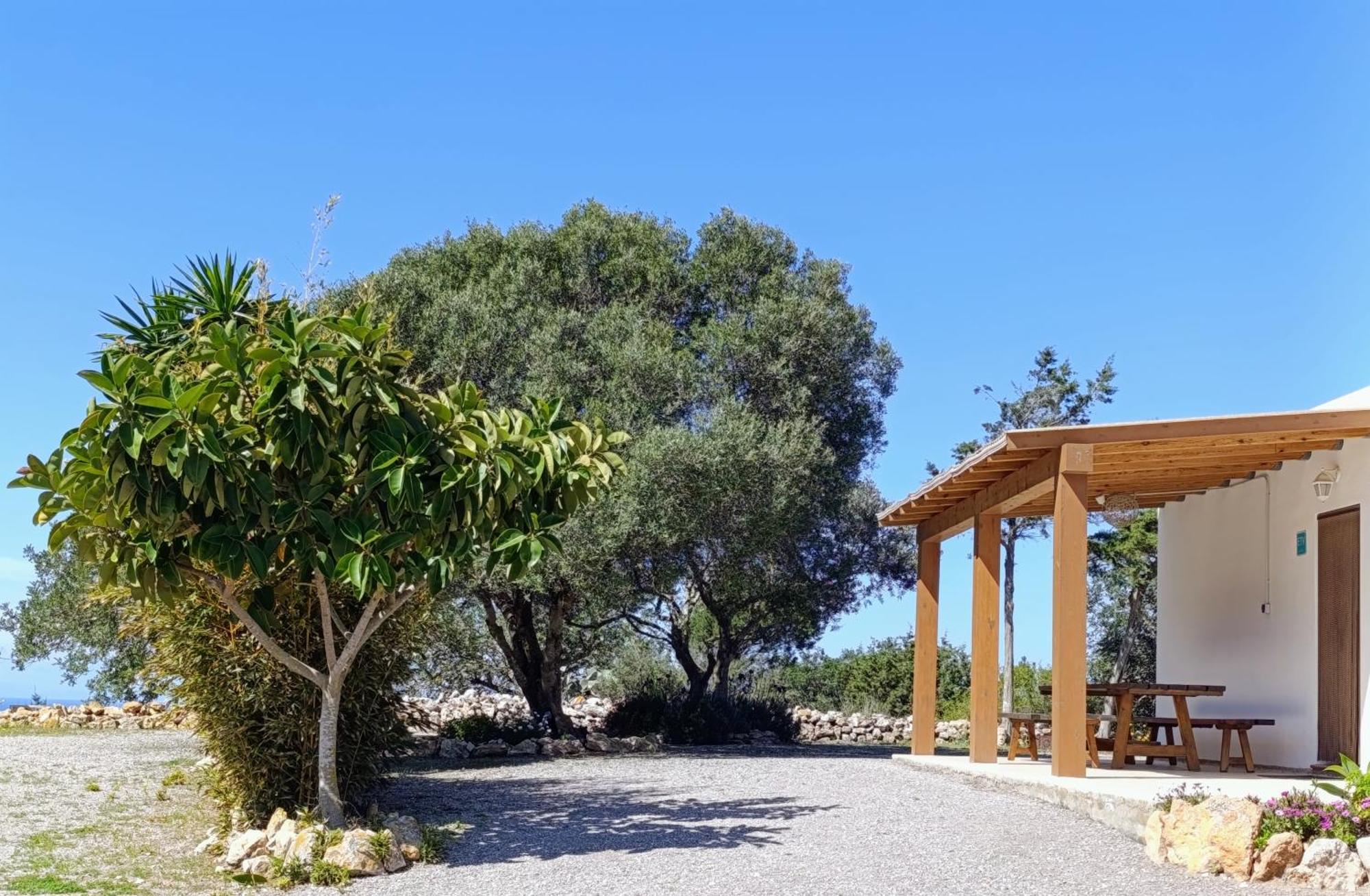 Sa Vinya Casa De Campo إس كوبيلس المظهر الخارجي الصورة